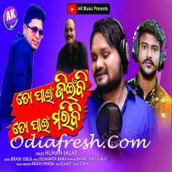 To Pain Jeebi To Pain Maribi